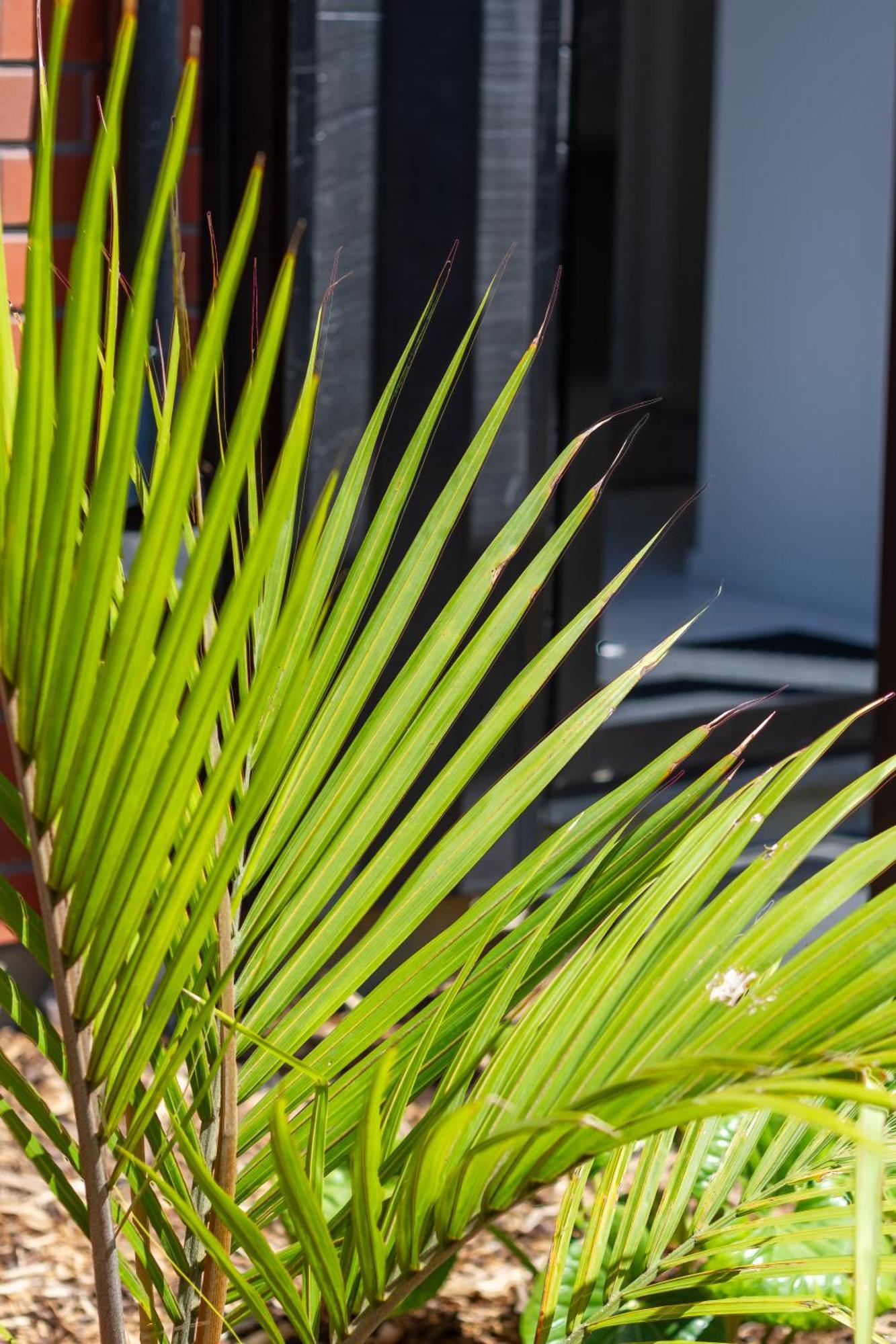 Conveniently Located 2Br Townhouse In West Akl Apartment Auckland Luaran gambar